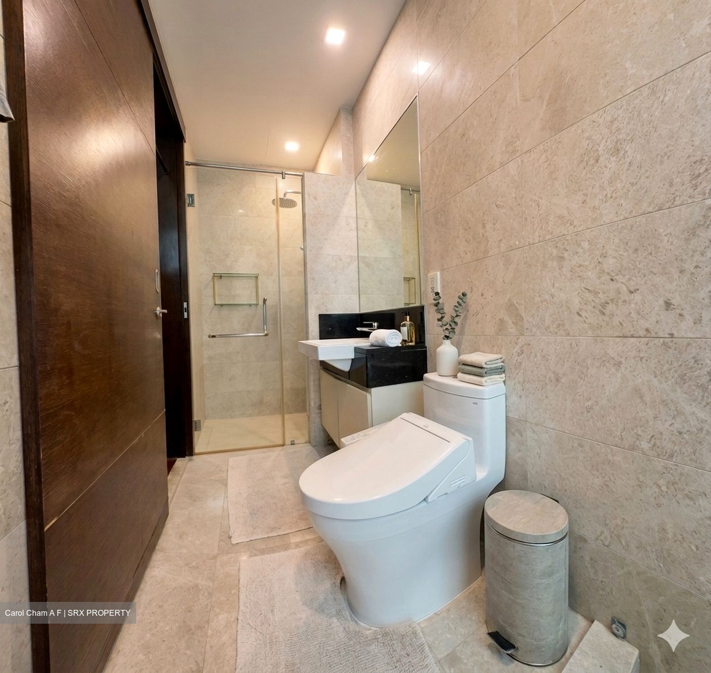 Sommerville Regency (D13), Terrace #557892551